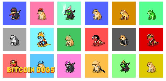 Bitcoin dogs