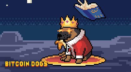 Bitcoin dogs crypto