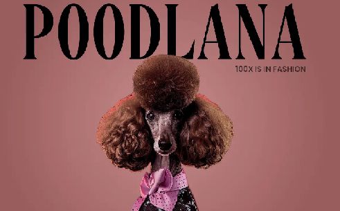 Podlana crypto