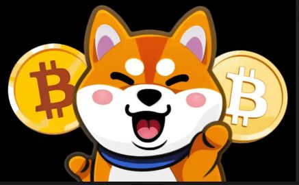 Beleggen crypto