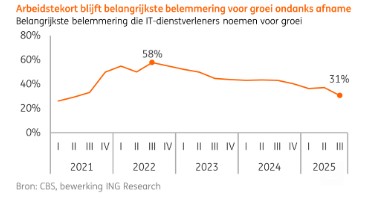 Arbeidstekort it sector